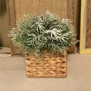 Frosted Greenery half round